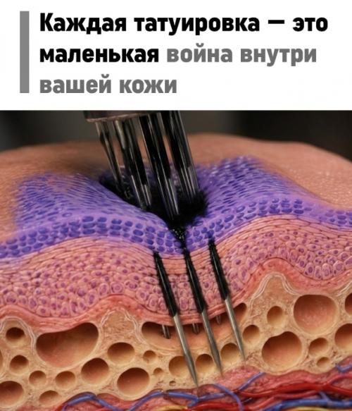 Татуировка остаётся с вами не потому, что чернила вечные.
