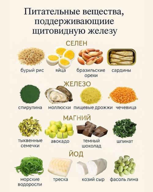 Полезные шпаргалки по питанию - для энергии, иммунитета и стройности. 04