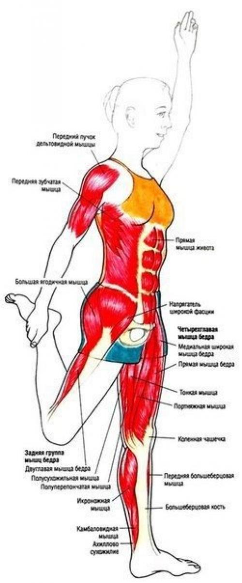 Упражнения для ягодиц и ног. 01 Упражнения для ягодиц и ног. 01