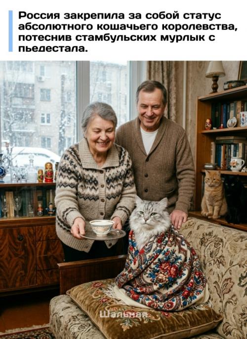 Россия заняла лидирующую позицию в мире по доле семей, держащих дома кошек: пушистый компаньон есть почти у 59% домохозяйств. 
