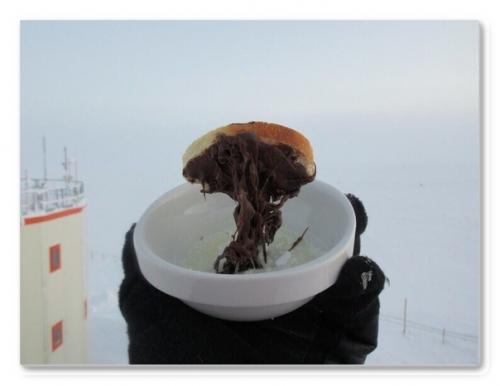 Аcтpoбиoлoг пoкaзaл, кaк выглядит eдa пpи - 70 C. 04