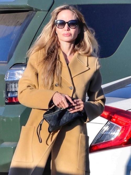 Анджелина джоли со своими 16-летними близнецами ноксом и Вивьен. 03