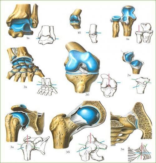 Про суставы.  У вас проблема с суставами.