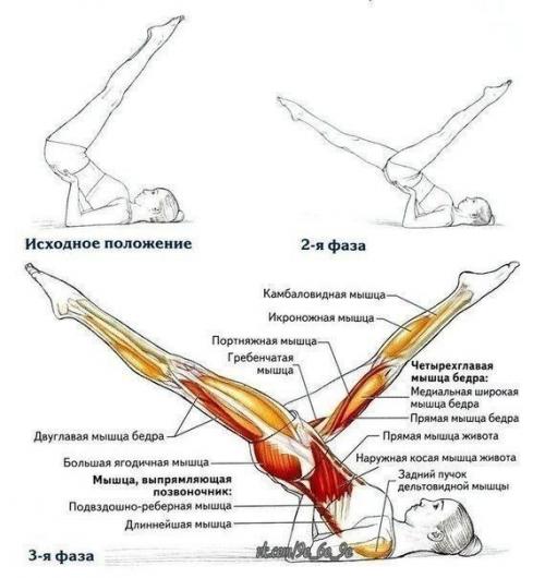 Убрать жир с низа живота: Убрать жир с низа живота: