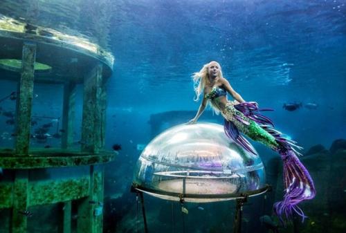 Это 35-летняя Ханна фрейзер и она работает русалкой в аквариуме Сиднея в Австралии. 07