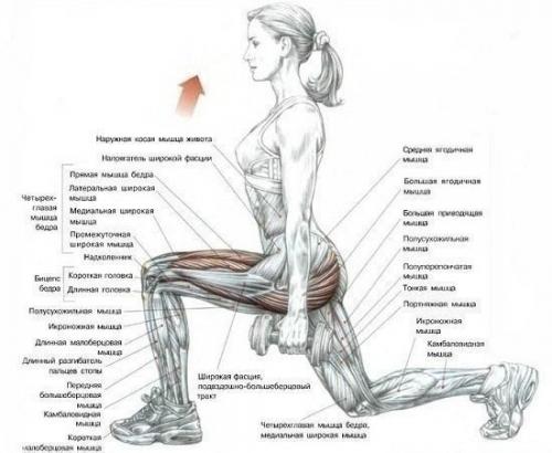 Выпады для красивый попы. Выпады для красивый попы.