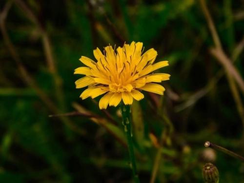 В кадре киржачский район, п. першино. 08