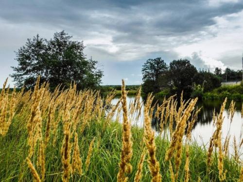 В кадре киржачский район, п. першино. 01