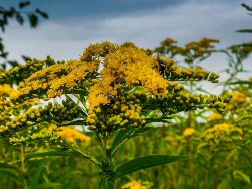 В кадре киржачский район, п. першино. 03