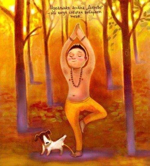 Идеальная йога - это вот так. 06