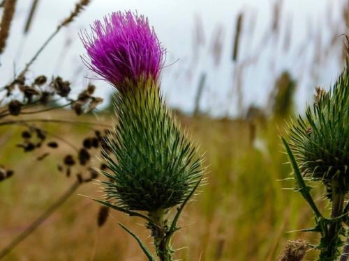 В кадре киржачский район, п. першино. 04