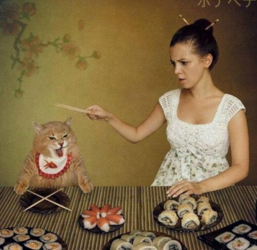 Суши медленно убивают? 01