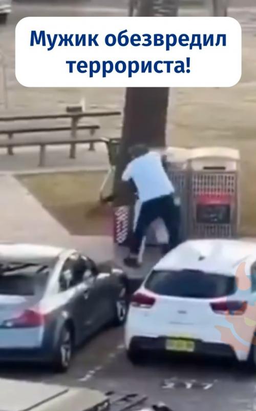 Мужчина голыми руками стрелка на пляже в Австралии обезвредил.

