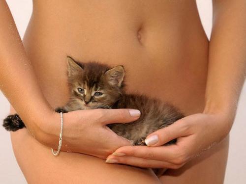 Знакомьтесь - это Эстер, свинья, которая живёт в доме.  