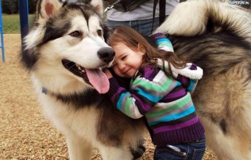 Друг - это прежде всего тот, кто не берется судить. 01