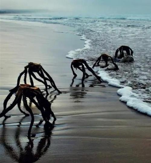 Нет, это не пилоты нло, которых в прошлом году всей страной ловили американцы! 

