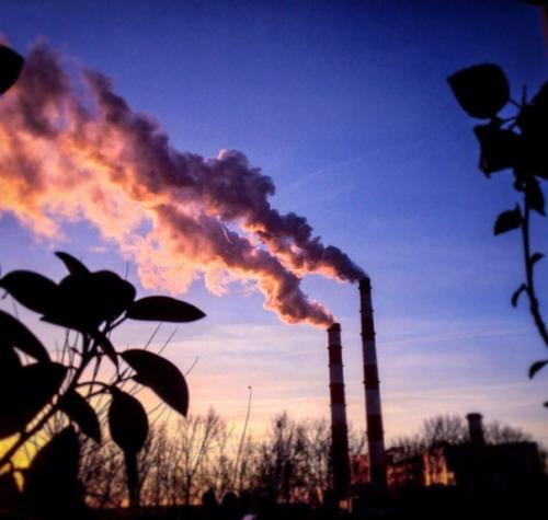 Привет, ребят.  Занимаюсь фотографиями с лета, однако немного забил на это дело, но все же. 01