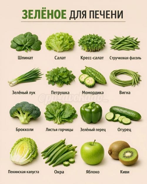 Еда может работать как поддержка для организма, если выбирать её осознанно. 02