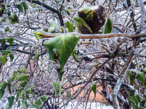 Привет, ребят.  Занимаюсь фотографиями с лета, однако немного забил на это дело, но все же. 04