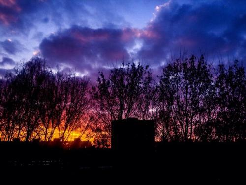 Привет, ребят.  Занимаюсь фотографиями с лета, однако немного забил на это дело, но все же. 02