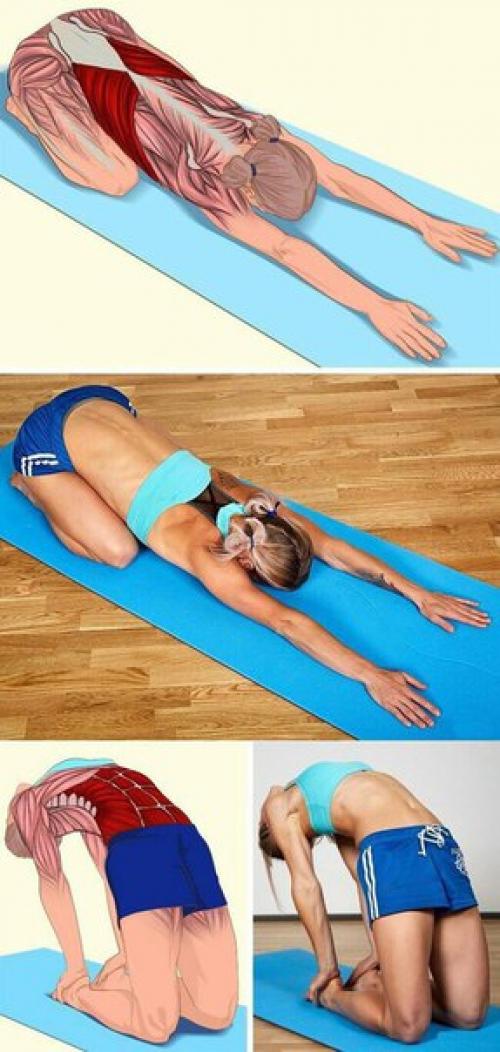 18 изображений, которые наглядно покажут, какие мышцы вы растягиваете? 07