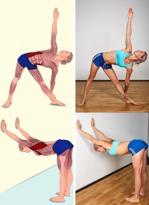 18 изображений, которые наглядно покажут, какие мышцы вы растягиваете? 05