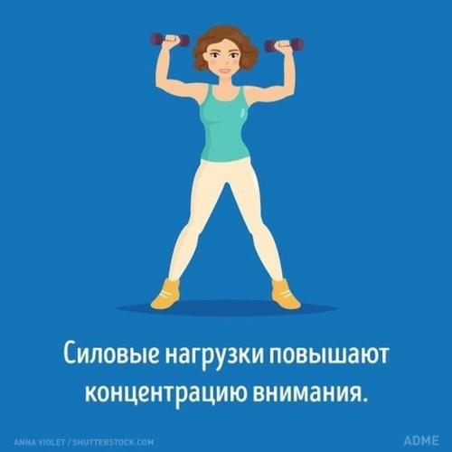 Как разные виды тренировок влияют на мозг. 02