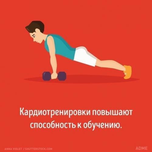 Как разные виды тренировок влияют на мозг. 04