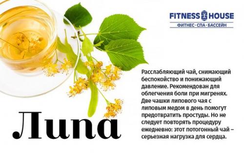 Травяные, цветочные и ягодные чаи - когда их пить и чем они полезны? 02