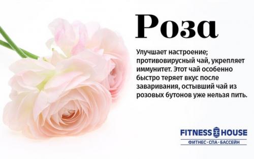 Травяные, цветочные и ягодные чаи - когда их пить и чем они полезны? 06