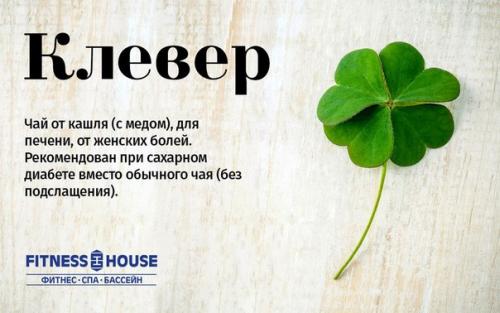 Травяные, цветочные и ягодные чаи - когда их пить и чем они полезны? 05