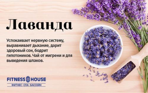 Травяные, цветочные и ягодные чаи - когда их пить и чем они полезны? 01