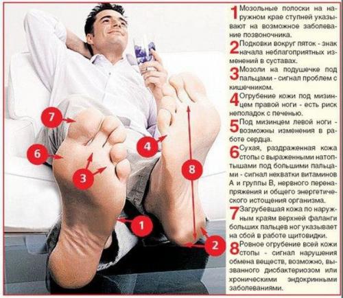 О каких болезнях сигналят 