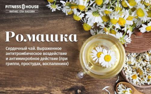 Травяные, цветочные и ягодные чаи - когда их пить и чем они полезны? 08