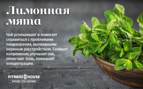 Травяные, цветочные и ягодные чаи - когда их пить и чем они полезны? 07