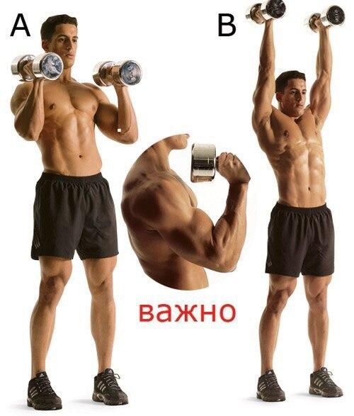 Фаршированные яйца - белковый заряд? 02