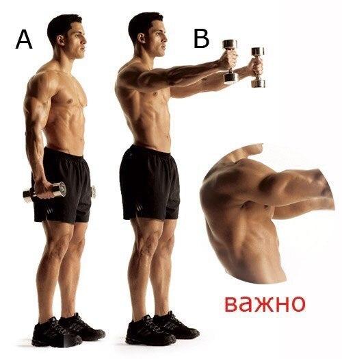 Фаршированные яйца - белковый заряд? 07