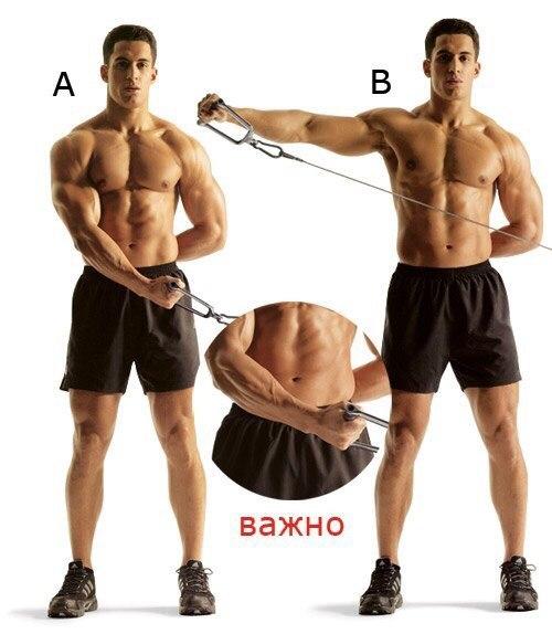 Фаршированные яйца - белковый заряд? 05