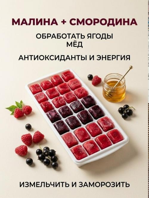 Витаминные кубики - удобный способ быстро сделать вкусный и ароматный напиток. 02
