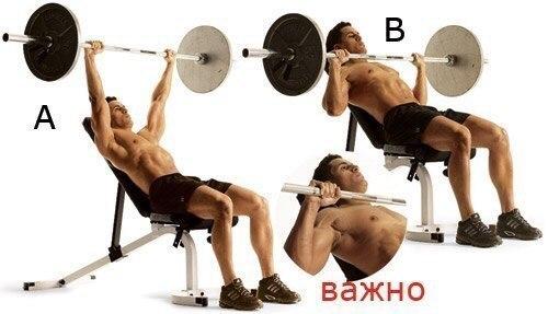 Фаршированные яйца - белковый заряд? 03