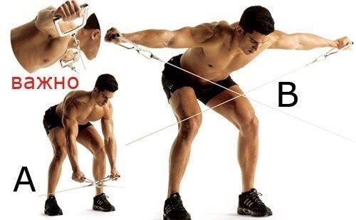 Фаршированные яйца - белковый заряд? 06