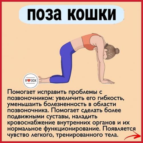 10 самых полезных поз в йоге. 07