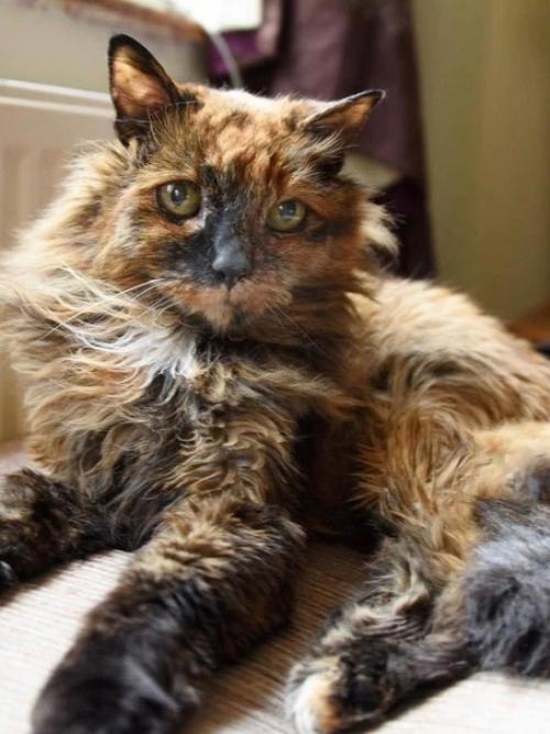 Мы поздравляем нашу любимую рози с 32-ой годовщиной рождения! 01