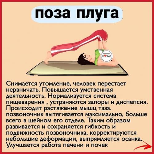 10 самых полезных поз в йоге. 02