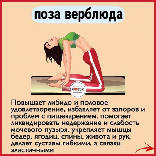 10 самых полезных поз в йоге. 01