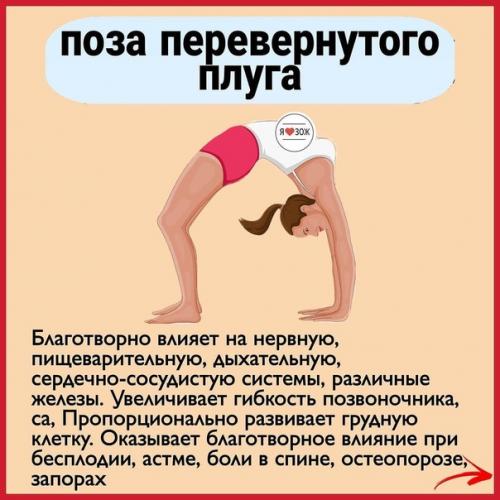 10 самых полезных поз в йоге. 06