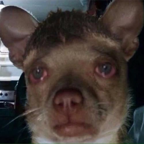 У меня аж всё тело от таких фотографий заболело. 04