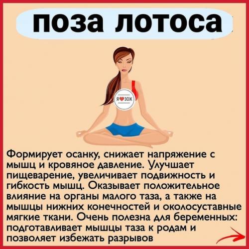 10 самых полезных поз в йоге. 08