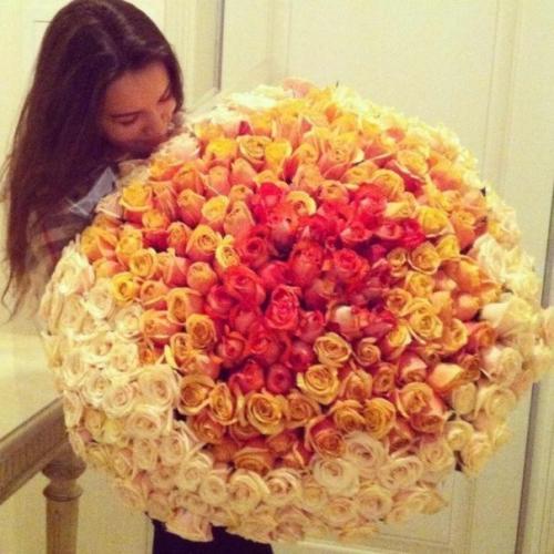 Настойки, которые необходимо иметь в домашней аптечке.

