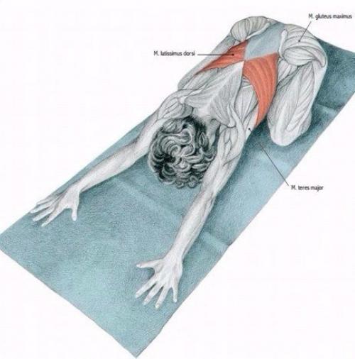 Растяжка мышц до и после тренировки. 07